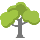 Salem Tree Removal Service