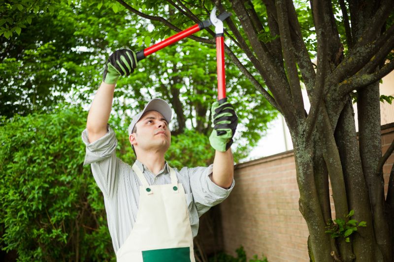 Seasonal Landscape Maintenance